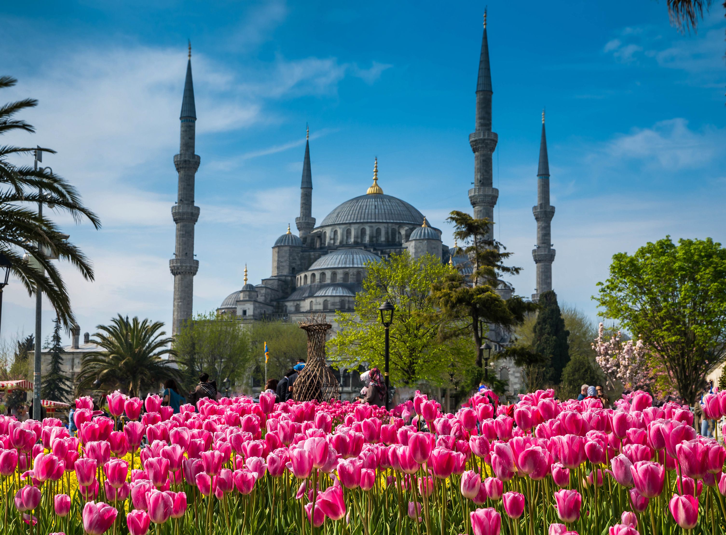 73 Top Best Writers Booking Istambul for Learn